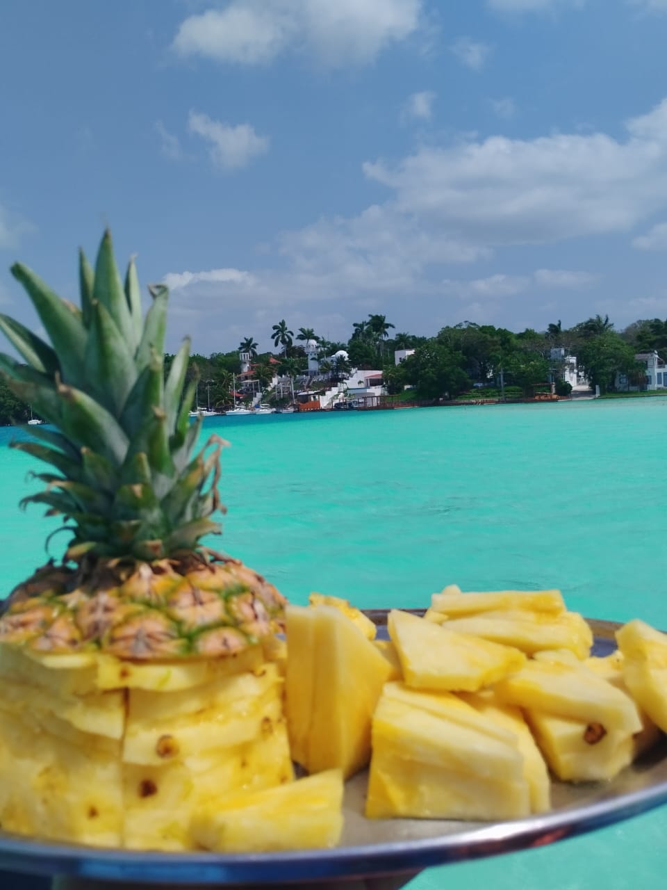 Snack de Frutas Tropicales en Bacalar